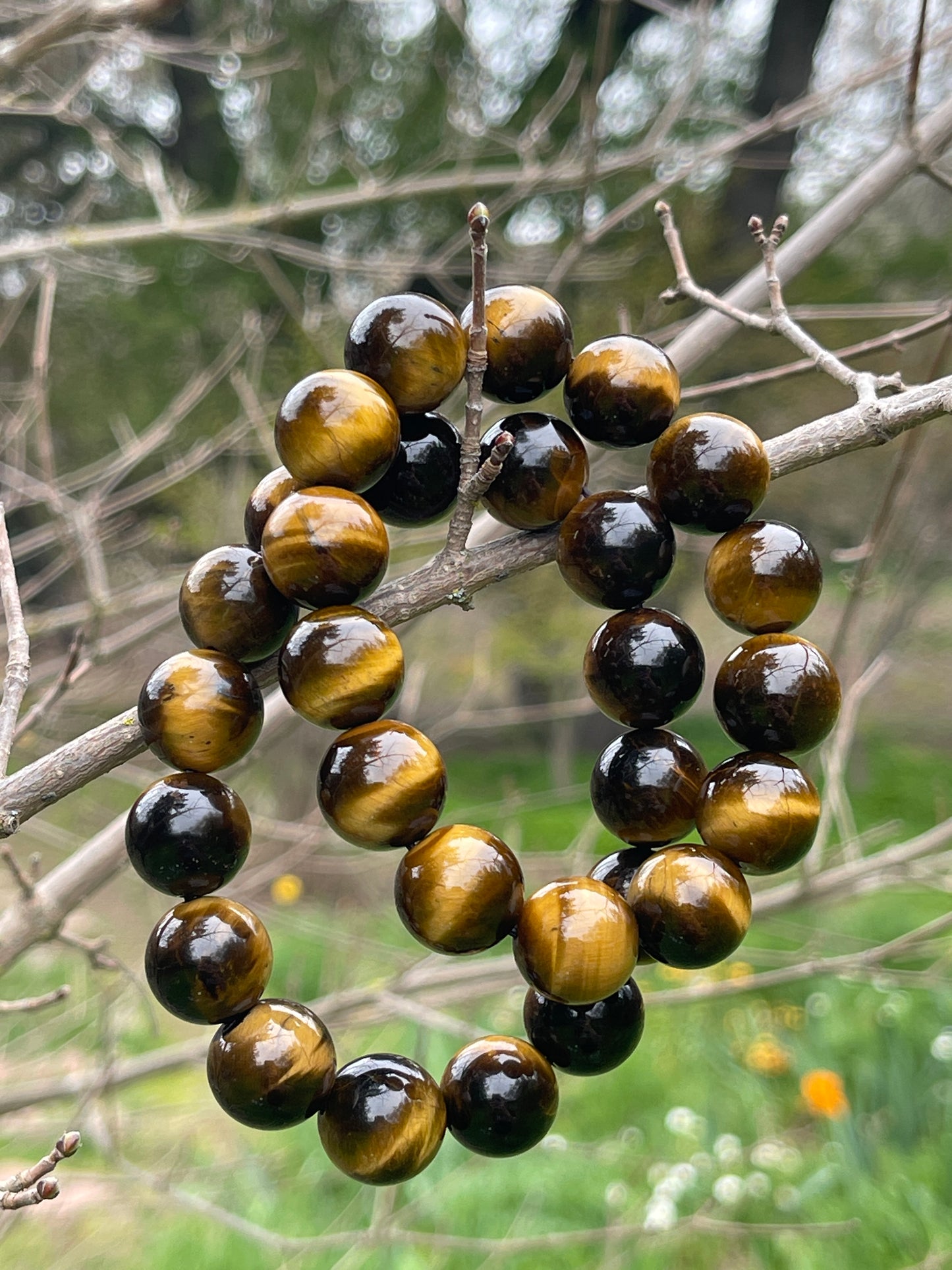 Tiger Eye Elastic Bracelet