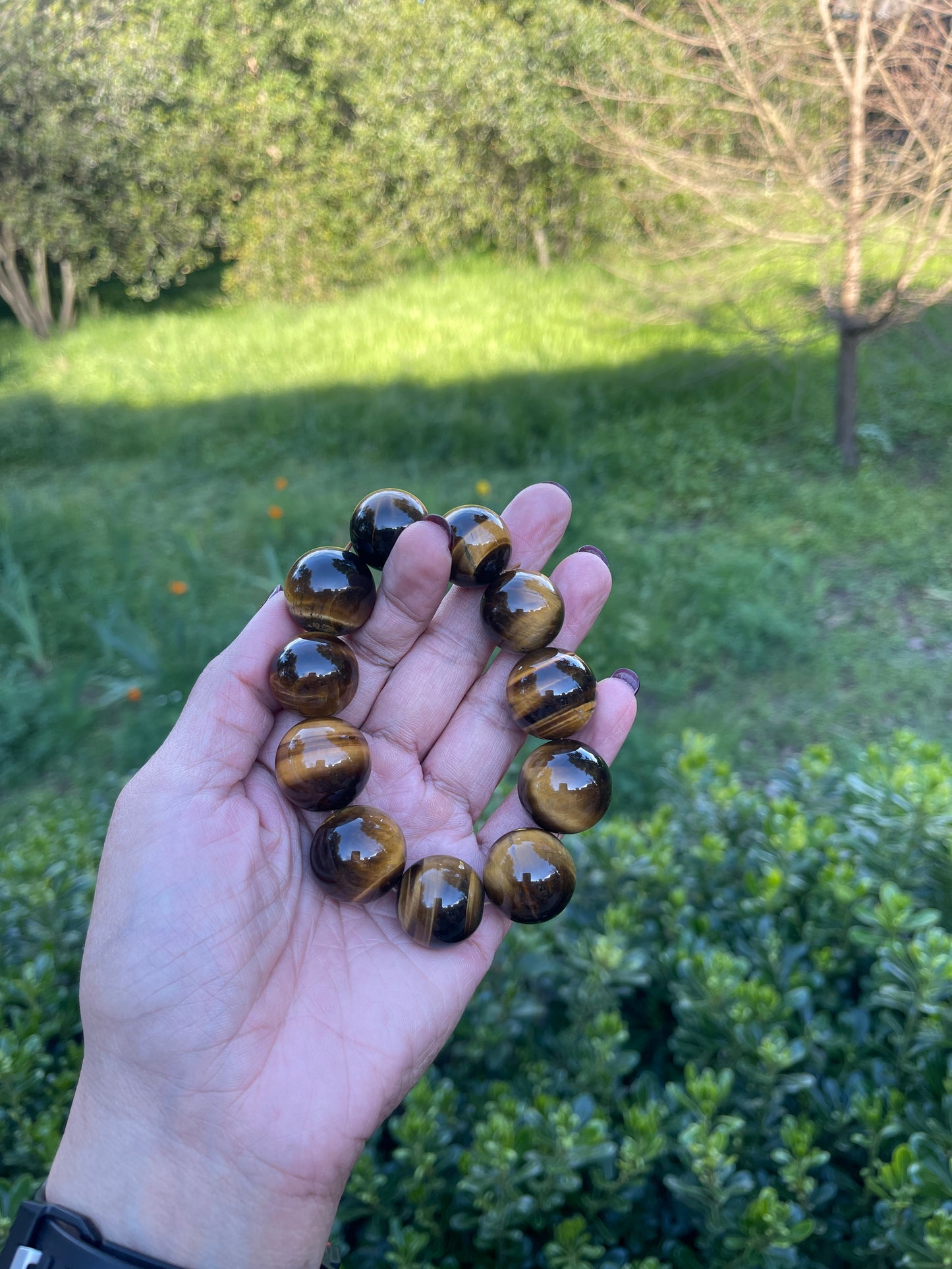 Tiger Eye Elastic Bracelet